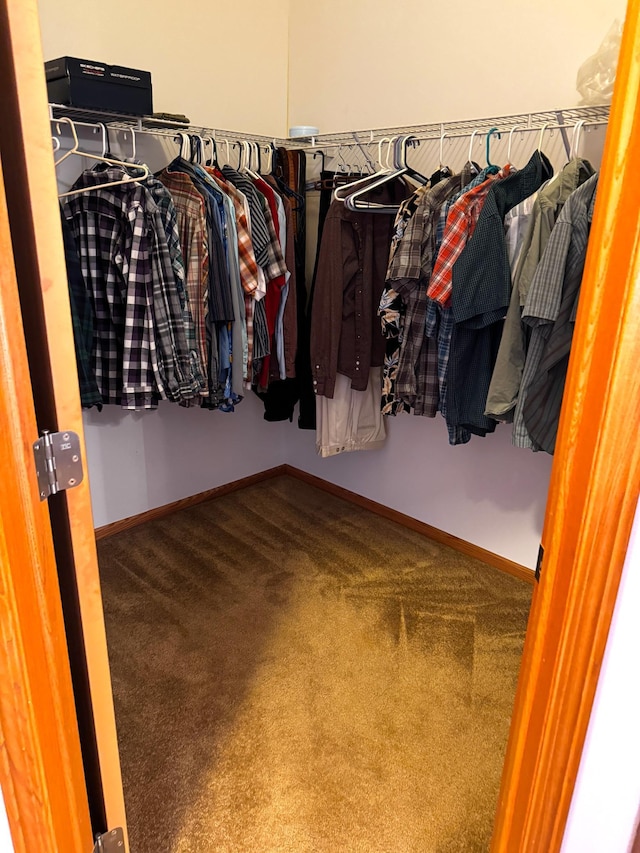 walk in closet featuring carpet