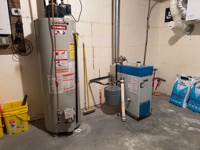 utilities with electric panel and gas water heater