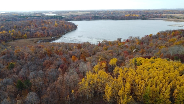 bird's eye view featuring a water view and a wooded view