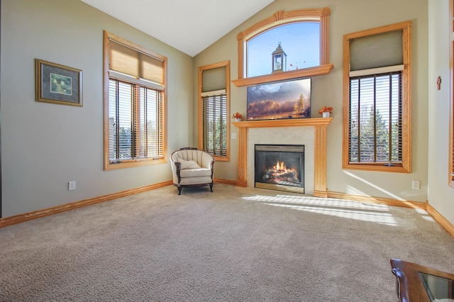 unfurnished room with vaulted ceiling and carpet floors