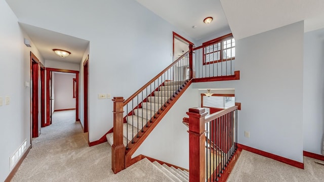 staircase with carpet flooring