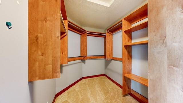 spacious closet featuring carpet flooring