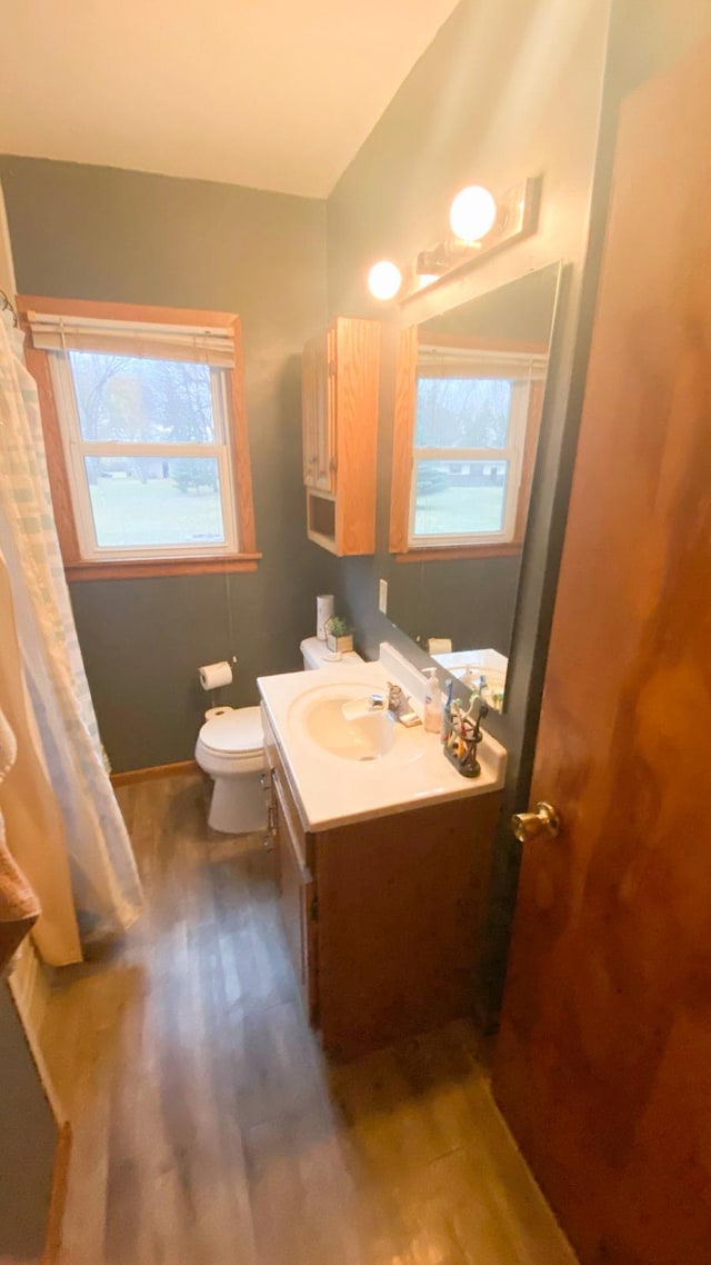 bathroom featuring hardwood / wood-style floors, vanity, and toilet