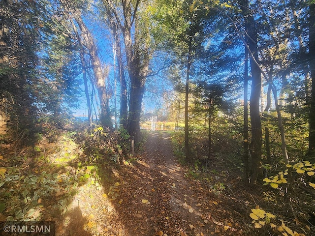 view of local wilderness