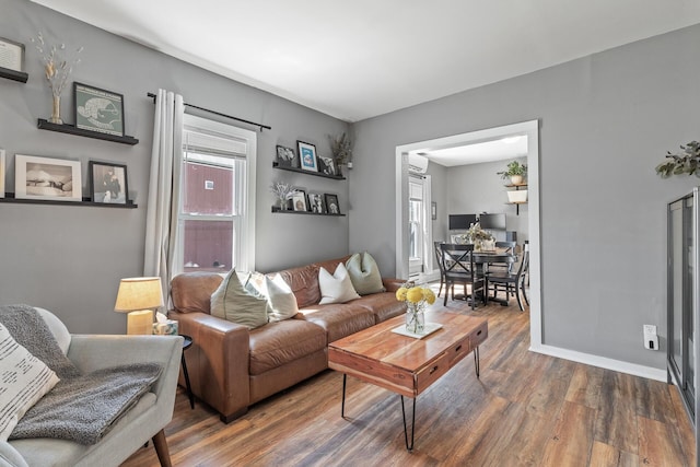 living room featuring hardwood / wood-style floors