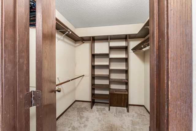 walk in closet with light carpet