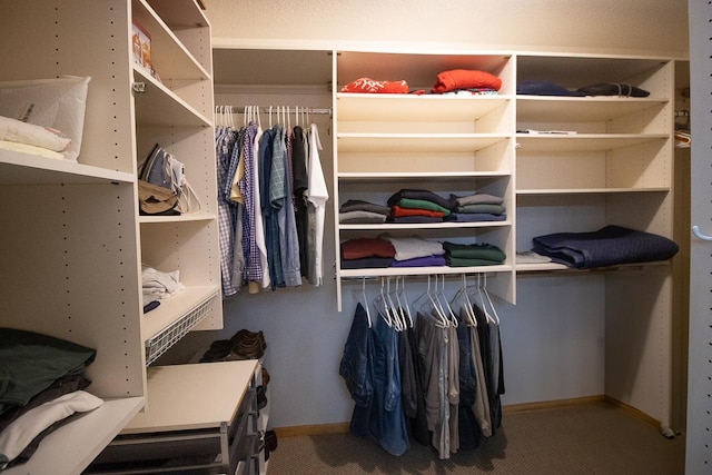 walk in closet featuring carpet floors