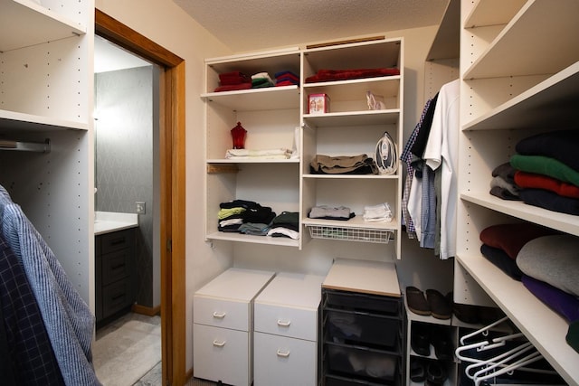 view of walk in closet