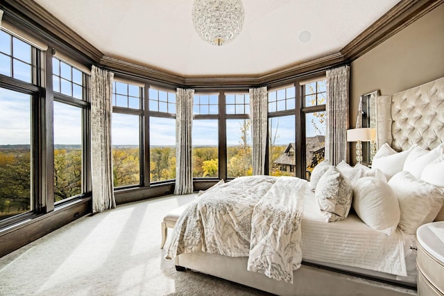 10675 Cavallo Rdg, Eden Prairie, MN 55347 - carpeted bedroom featuring crown molding and multiple windows