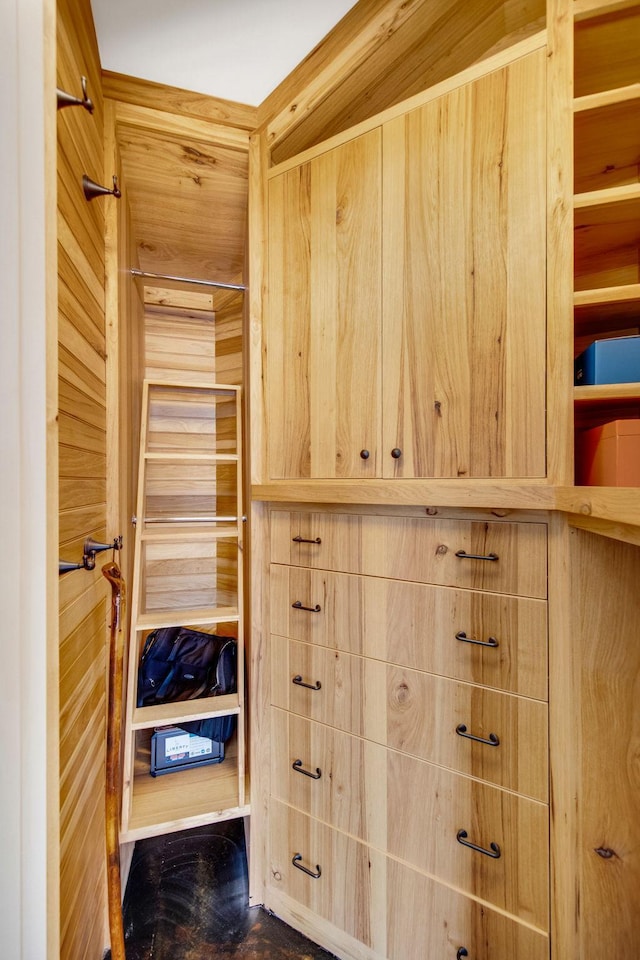 10675 Cavallo Rdg, Eden Prairie, MN 55347 - view of spacious closet
