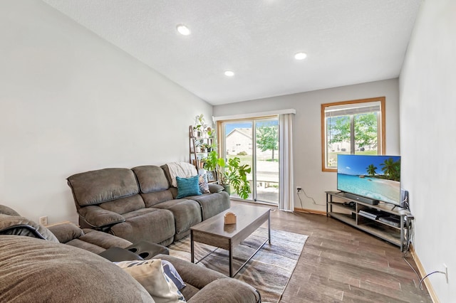 living room featuring wood-type flooring and a textured ceiling