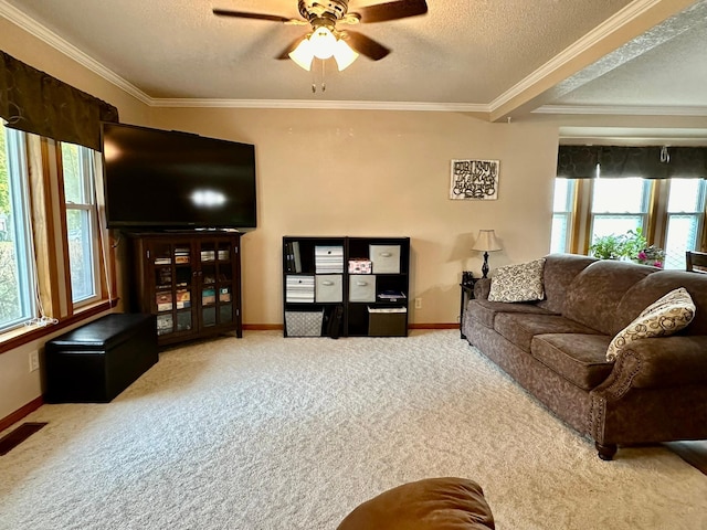 carpeted living room with ceiling fan, crown molding, and a textured ceiling