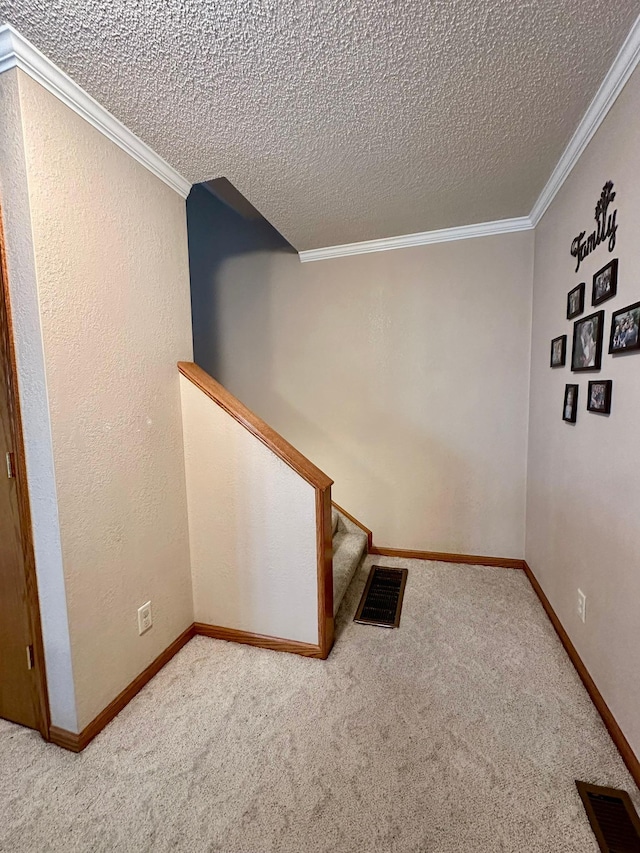 interior space with carpet, crown molding, and a textured ceiling