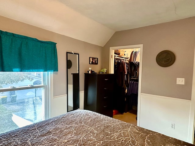 bedroom with a walk in closet, a closet, and lofted ceiling