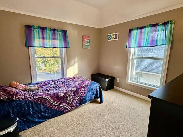 carpeted bedroom with multiple windows