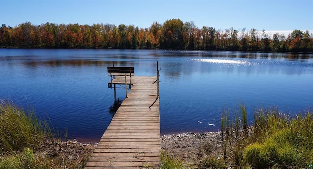 dock area featuring a water view