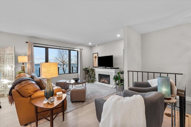 living room featuring light hardwood / wood-style flooring