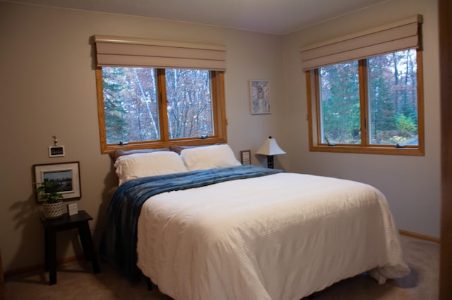 bedroom featuring baseboards, multiple windows, and carpet flooring