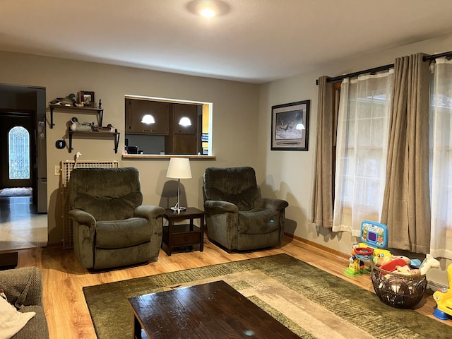 living room with hardwood / wood-style floors and a wealth of natural light