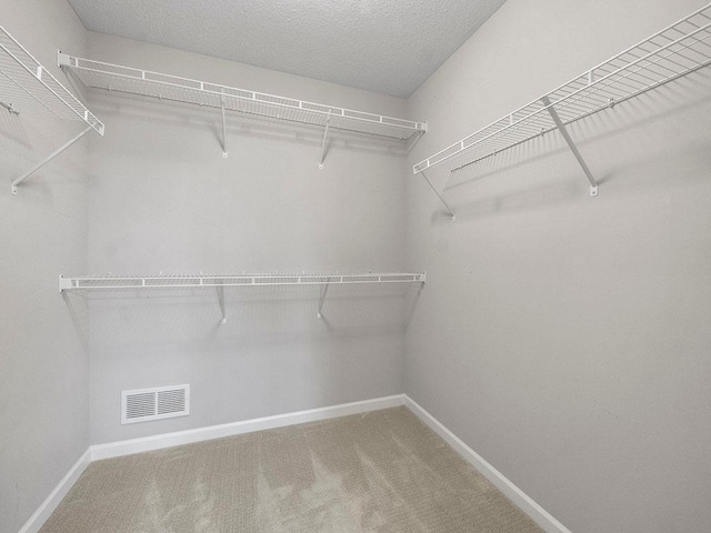 spacious closet featuring carpet