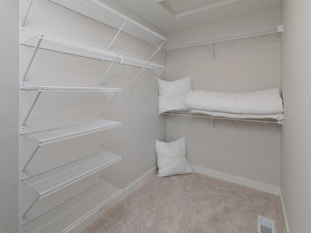 spacious closet featuring carpet flooring and visible vents