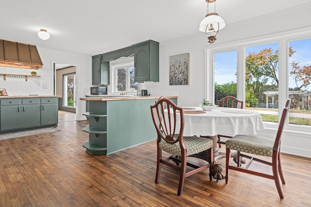 dining room with crown molding, a healthy amount of sunlight, and dark hardwood / wood-style floors