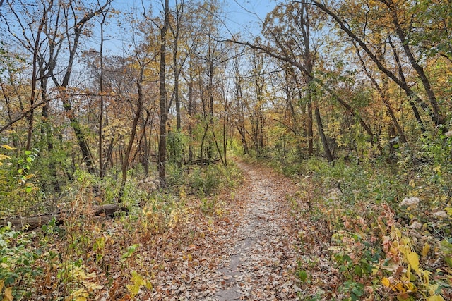 view of road