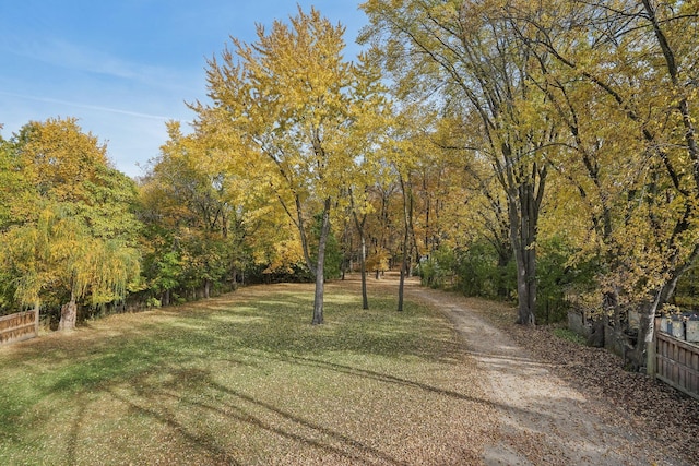 view of yard