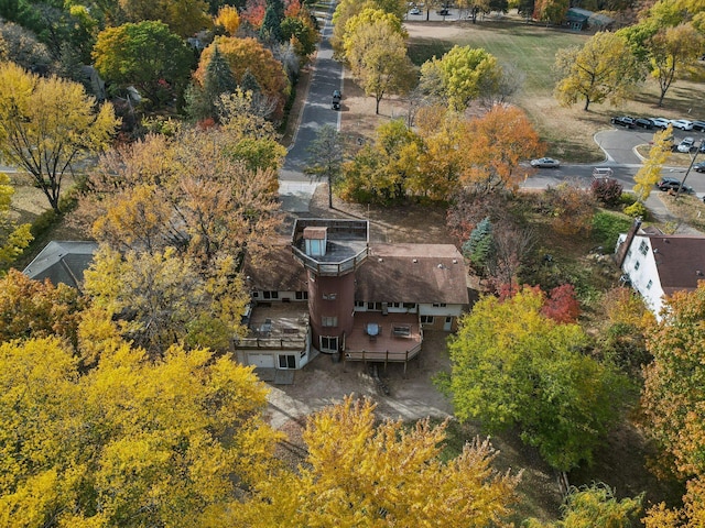 bird's eye view