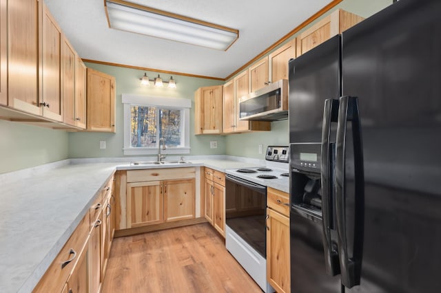 37760 310th St, Aitkin, MN 56431 - kitchen with black refrigerator with ice dispenser, stainless steel microwave, electric range oven, light brown cabinets, and a sink