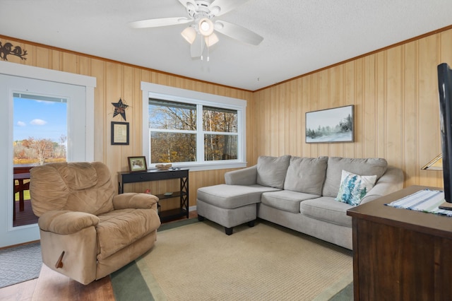 37760 310th St, Aitkin, MN 56431 - living room with ornamental molding, ceiling fan, and wood walls