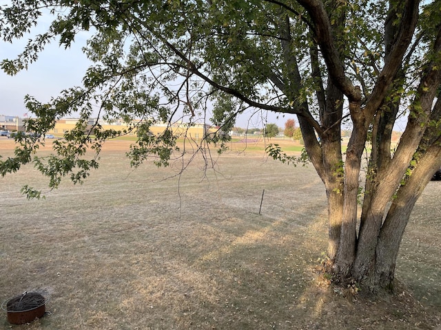 view of yard with a rural view