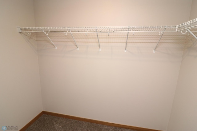 spacious closet with carpet flooring