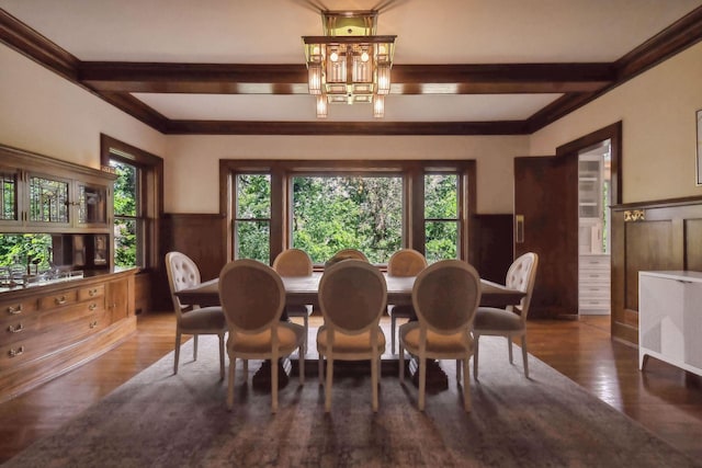 dining space with wood walls, a chandelier, beamed ceiling, and dark wood-type flooring