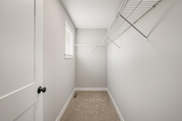 spacious closet with carpet flooring