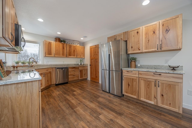 kitchen featuring sink, dark hardwood / wood-style flooring, stainless steel appliances, light stone counters, and light brown cabinets