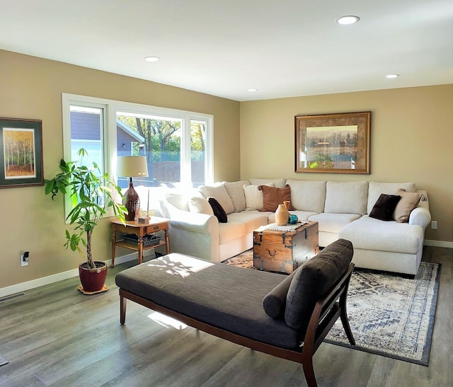 living room featuring hardwood / wood-style flooring