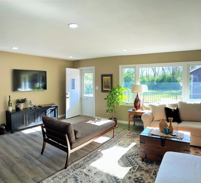 living room with wood-type flooring