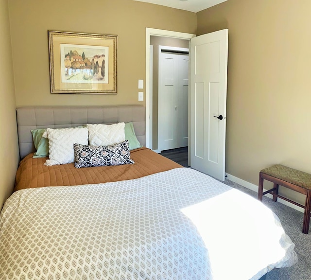 bedroom featuring carpet floors and a closet