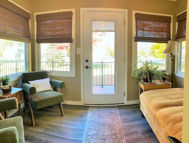 doorway featuring dark hardwood / wood-style flooring and a healthy amount of sunlight