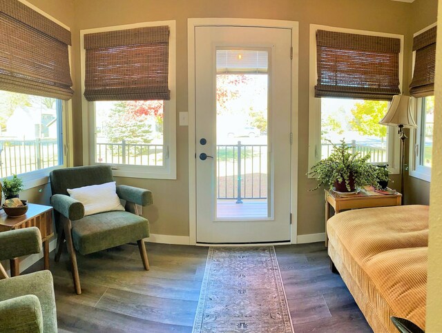 doorway with baseboards and dark wood-style flooring