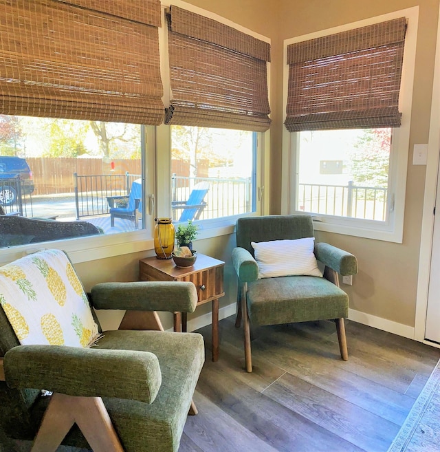 interior space with baseboards, a healthy amount of sunlight, and wood finished floors