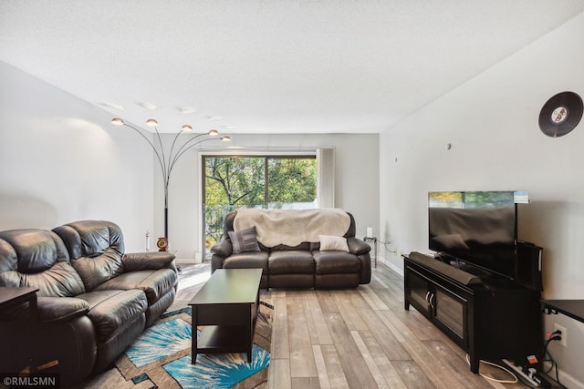 living room with light hardwood / wood-style flooring