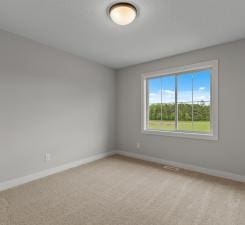 spare room with carpet floors