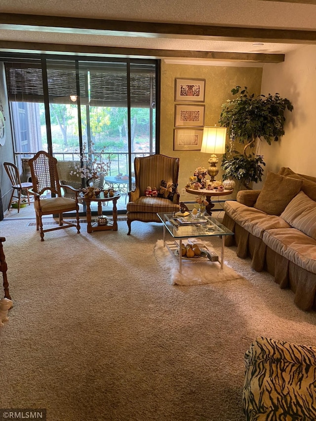 living room with a textured ceiling, beam ceiling, and carpet floors