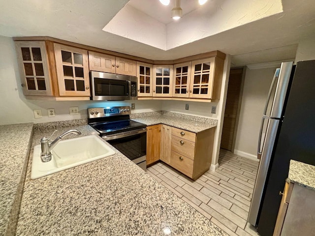 kitchen with light stone countertops, sink, appliances with stainless steel finishes, and light hardwood / wood-style flooring