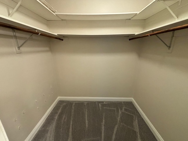 spacious closet featuring carpet