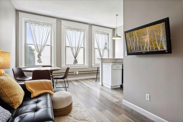 sitting room featuring light hardwood / wood-style flooring, a textured ceiling, and a healthy amount of sunlight