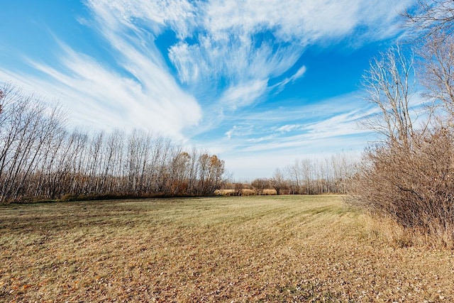 view of yard featuring a rural view