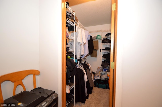 walk in closet featuring carpet flooring